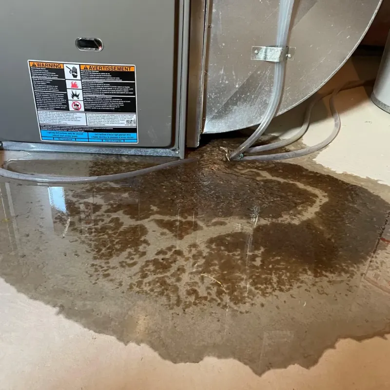 Appliance Leak Cleanup in Westford, MA